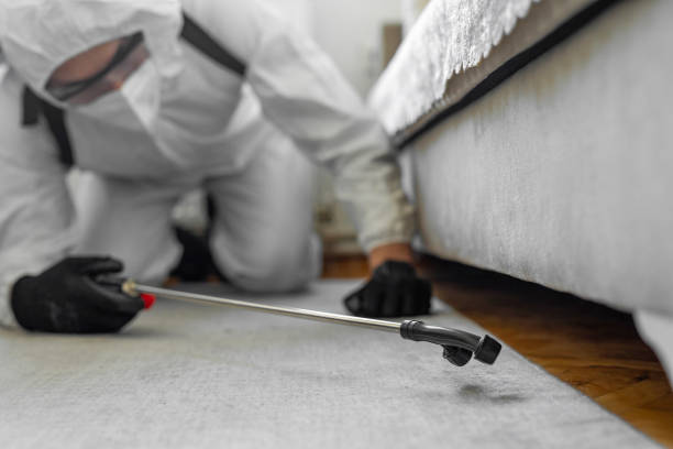 Professional Bed Bug Control technician working in Wayne County County, KY